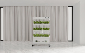 Suministros de Cultivo Hidropónico para el Hogar, Sistema Hidropónico Vertical Completo para Cultivar Vegetales, Sistema de Riego Hidropónico Sensh-50 - Product Image 3
