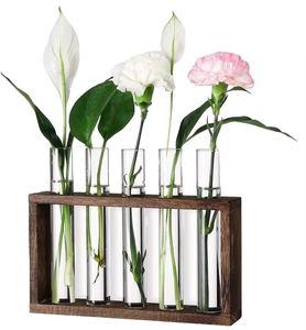 Jardinière en tube DREA avec support en bois, jardinière en verre, station de propagation, vase en tube à essai, pots de fleurs - Product Image 1