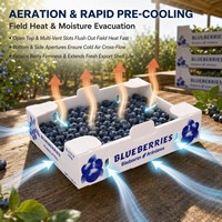 Corflute PP Corrugated Blueberry Crate Twin Wall Lightweight Fresh Berry Shipping Tray Wholesale Packaging OEM