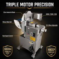 Trancheuse à viande fraîche et de volaille désossée modèle 260, double vitesse, avec moteur de lame 400W, moteur de levage 750W et moteur d'alimentation 25W