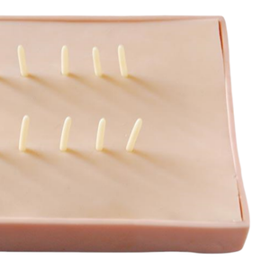 Modèle de Guideligne d'Évaluation Anatomique ADA Medical Science pour l'Exérèse des Points de Saignement Hémostatiques et des Cystes Sébacés - Product Image 3