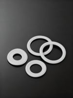 Gasket penjepit/sendi/bahan pas cepat opsional Fluororubber Gasket/tahan suhu tinggi silikon Gasket/PTFE