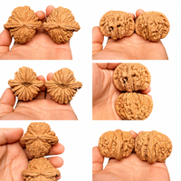 Vente en gros de noyaux de noix de Wenwan naturels pour l'exercice manuel, objets de collection, fournisseur OEM d'artisanat
