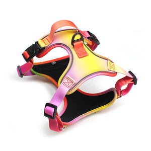 Set Harnesses Anjing dan Kucing dari Nilon, Custom Print Mewah, Dapat Disesuaikan, Reflektif, Kuat, Anti Tarik, untuk Aktivitas Luar Ruangan - Product Image 5