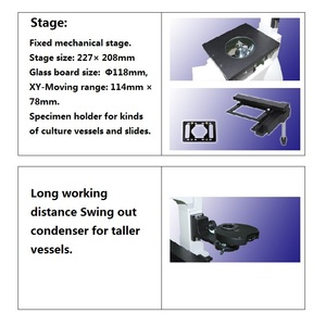 Boshida BD-YGD-2倒立蛍光顕微鏡生細胞培養および医学研究用の位相差顕微鏡 - Product Image 5