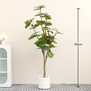 Gerçekçi bahçe peyzaj fabrika sıcak satmak yapay kalp yaprak <span class=keywords><strong>Ficus</strong></span> <span class=keywords><strong>Microcarpa</strong></span> ağacı toptan fiyat kapalı simülasyon dekor - Product Image 4