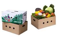 Carton d'impression en couleur personnalisé en gros emballer en toute sécurité l'emballage en carton de légumes et de fruits boîte d'expédition
