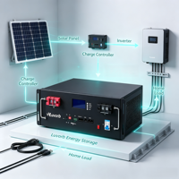 Paquete de Baterías Solares LiFePO4 de 51.2V 100Ah 200Ah 300Ah, 5kWh 10kWh 15kWh, Almacenamiento de Energía Doméstica, Celdas de Grado A, Fábrica OEM