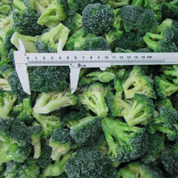 IQF fiori di Broccoli congelati all'ingrosso di qualità Premium verdure surgelate origine cina
