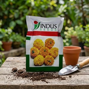 Semillas de Caléndula Indus Pushparaj Naranja, Color de Hoja Verde Oscuro Genda Fool, 16-18, para una Buena Firmeza de Floración, Invernaderos Agrícolas - Product Image 3