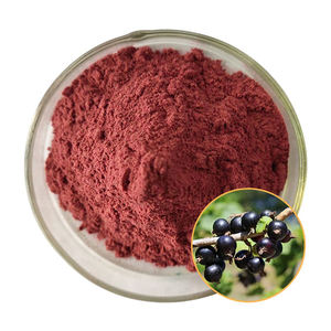 Zwarte Bes Fruitpoeder 99% Instant Zwarte Bes Poeder Zwarte Bessen Sap Poeder Wateroplosbare Vaste Drank - Product Image 1