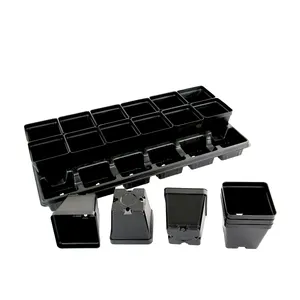 Black Color Plastic Flower Pots Planters Pot Trays Small Square Pots for Succulent plants