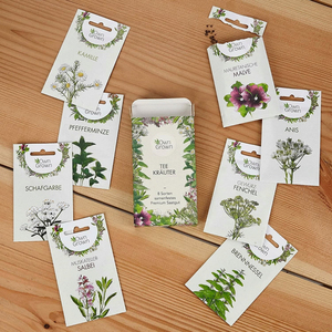 Kit de 8 tisanes fraîches avec pots de fleurs et jardinières - Product Image 3