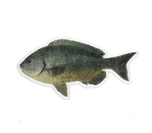 Patch brodé personnalisé pour étiquette de marque de vêtements - Product Image 1