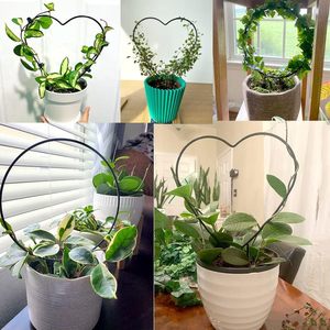 <span class=keywords><strong>Support</strong></span> de plante en forme de cœur en métal/fer pour plantes grimpantes, à poser au sol, pour la vigne tortue et le lys araignée - Product Image 4