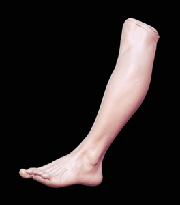 Yüksek detay, hızlı insan vücudu heykel tarama için flaşsız el <span class=keywords><strong>3D</strong></span> tarayıcı - Product Image 5