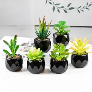 Kunstmatige Ingemaakte Vetplanten Planten Leuke Mini Fake Succulent In Zwarte Keramische Pot Voor Bureau Decor