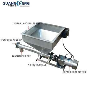 Convoyeur à vis hélicoïdal en acier inoxydable standard d'usine, grande capacité, avec trémie - Product Image 2