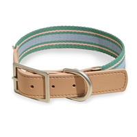 Collier de chien imprimé personnalisé Fullto durable et de haute qualité avec boucle à dégagement rapide