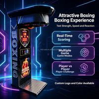 NINTHD ND-ZY-06072 Machine d'arcade Sport Boxer Punchball avec lecteur de cartes, équipement de divertissement de boxe en métal, 220V, un joueur
