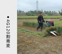 Mini moissonneuse-batteuse nouvelle conception pour la récolte et le liage du riz paddy et du blé