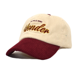 Corduroy Embroidered logo Outdoor Sport Baseball Cap - Product Image 4