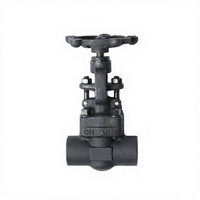 Vanne à opercule manuelle forgée haute pression Sealmech 1/2 1500 #   2500 #   Tige de rehaussement ASTM A105 OSY à souder par emboîtement, filetage NPT, API 602