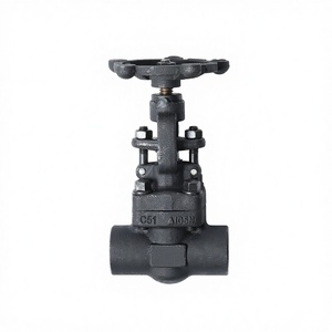 Válvula de Compuerta Personalizable ANSI 150-1500LB de Acero Inoxidable A105 Manual 304 316 Rosca Hembra NPT DN15-DN100 Base 1.6-100mpa - Product Image 2