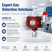 Détecteur de monoxyde de carbone professionnel EA900-CO fixe en ligne antidéflagrant Ex d II CT6 Gb IP66 électrochimique haute performance
