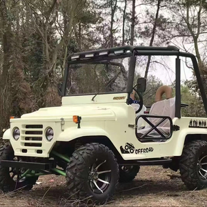 Mini Willys UTV de Gasolina de 110cc, Venta Directa de Fábrica, para Niños y Adultos, con 2 Asientos - Product Image 1