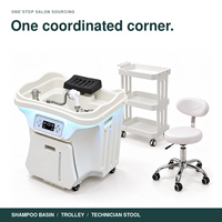 Bac à shampoing mobile portable avec réservoir d'eau extractible et contrôle de la température pour équipement de salon et spa OEM / ODM