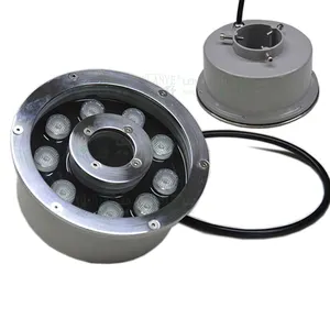 Led Onderwater Licht Ip68 Waterdicht Roestvrij Stalen Zwembad Licht 3W Fontein Vijver Licht