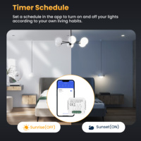 Módulo de Interruptor de Luz Inteligente WiFi Zigbee 10A ABS para Uso Comercial Europeo, Compatible con Smart Life