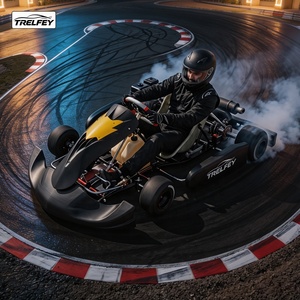 Kart de course à essence Drift Racing 200-225cc 9.5HP, karting sur piste, pédale haute performance, système de freinage hydraulique, homologué CE, durable - Product Image 1