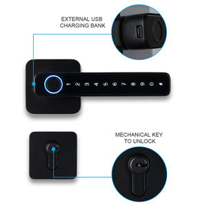 Smart Stainless Steel Brass Door Handle Lock Key Tuya RFID Network Tuya Smart TTLock App Competable Dato Storage Password - Product Image 5
