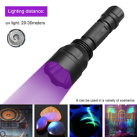 Lampe de poche LED UV 395/365 nm Matériau en alliage Lumière ultraviolette avec filtre noir pour tester les taches d'urine pour animaux de compagnie Torche UV