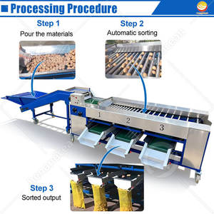 Machine de tri de fruits OCEAN pour mandarine, myrtille, pomme de terre, oignon, trieuse et calibreuse - Product Image 3