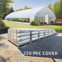 Film polyéthylène souple de qualité alimentaire pour tunnel de serre, anti-UV, diffuseur, 16m, 6mil/8mil/10mic, pour 5 ans