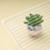 Plateau en plastique thermoformé en gros, emballage imbriqué, boîte d'emballage alimentaire en PET de qualité alimentaire pour le stockage des aliments
