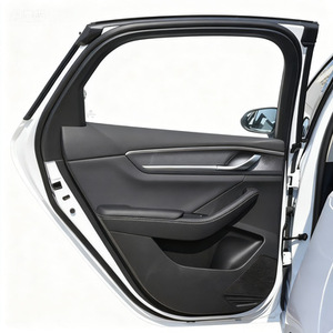 Pour BYD Destroyer 05, porte centrale Had-6201010/70 Had-6201019/70 - Product Image 2