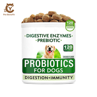 Poudre Probiotique Multi-Souches pour Chiens et Chats, Supplément Digestif Prébiotique, Équilibre la Flore Intestinale, Améliore la Consistance des Selles, Inhibe