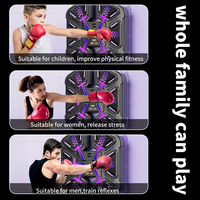 2025 enfants Intelligent lumière LED musique battre boxe Machine d'entraînement mural en plastique Hit cible boxe jeu Machine à vendre