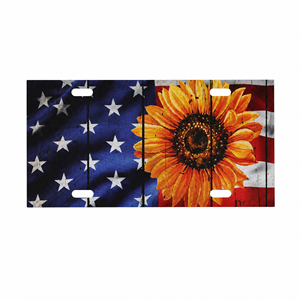 Placa <span class=keywords><strong>de</strong></span> Matrícula Personalizada con Logotipo, Bandera Americana, Águila, Aluminio, Metal, para Automóvil - Product Image 2