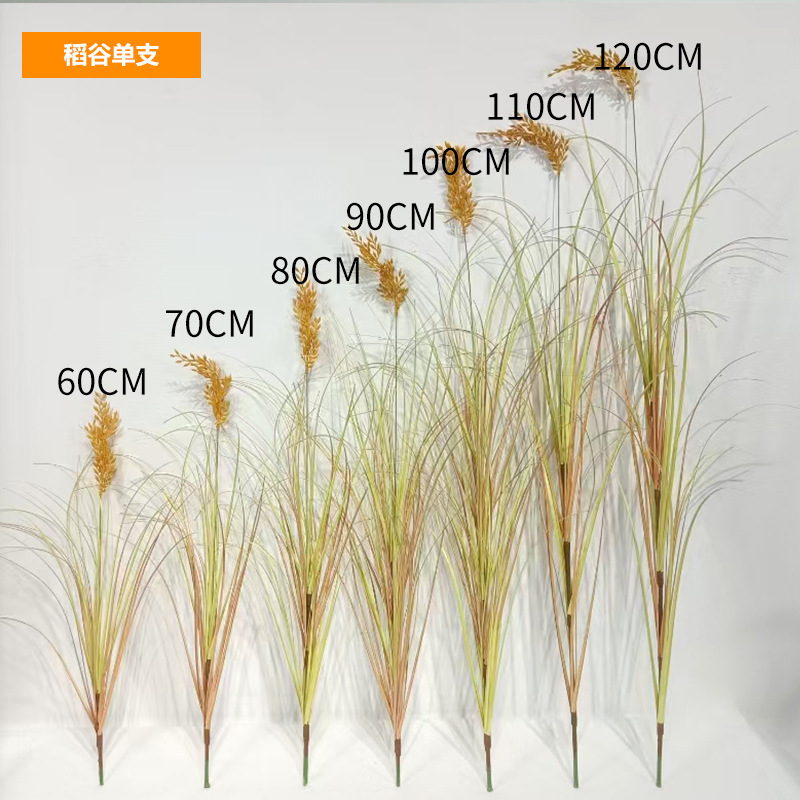 Tallo de arroz único