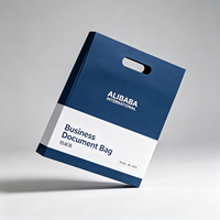 Cartelle di Presentazione Aziendale A4 A5 Personalizzate con Logo del Marchio e Tasca