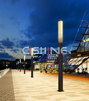 Cishine Poste de Luz Solar de Acero Galvanizado con Fibra Óptica, Octogonal, Cónico y Curvo, de 6m, 7m, 8m, 9m, 10m - Precio
