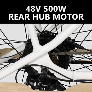 GreenPedel Bicicletta <span class=keywords><strong>Elettrica</strong></span> da Carico per Adulti 500W, Batteria al Litio 48V ad Alta Capacità di Carico, E-bike - Product Image 4