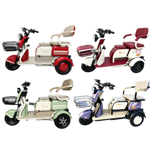 Fabricant chinois fournit des voitures électriques à trois roues les plus vendues pour les particuliers - Product Image 5