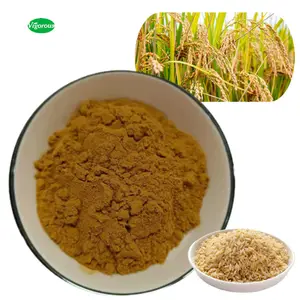 무료 샘플 유기농 천연 쌀 배아 추출물
