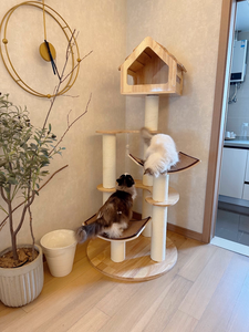 Tour d'escalade pour animaux de compagnie en bois massif de caoutchouc, avec structure en papier kraft tressé, colonne en chanvre et poteau en sisal, pour griffer et grimper - Product Image 2